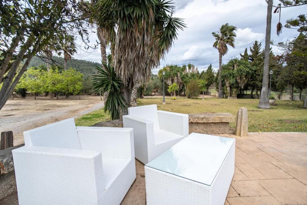 Vilaire - Son Fe Holiday home *